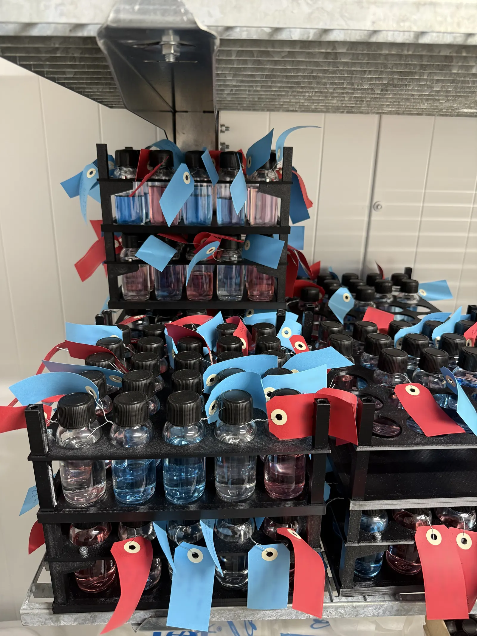 Supports d'échantillons sur mesure : production en impression 3D — photo 2